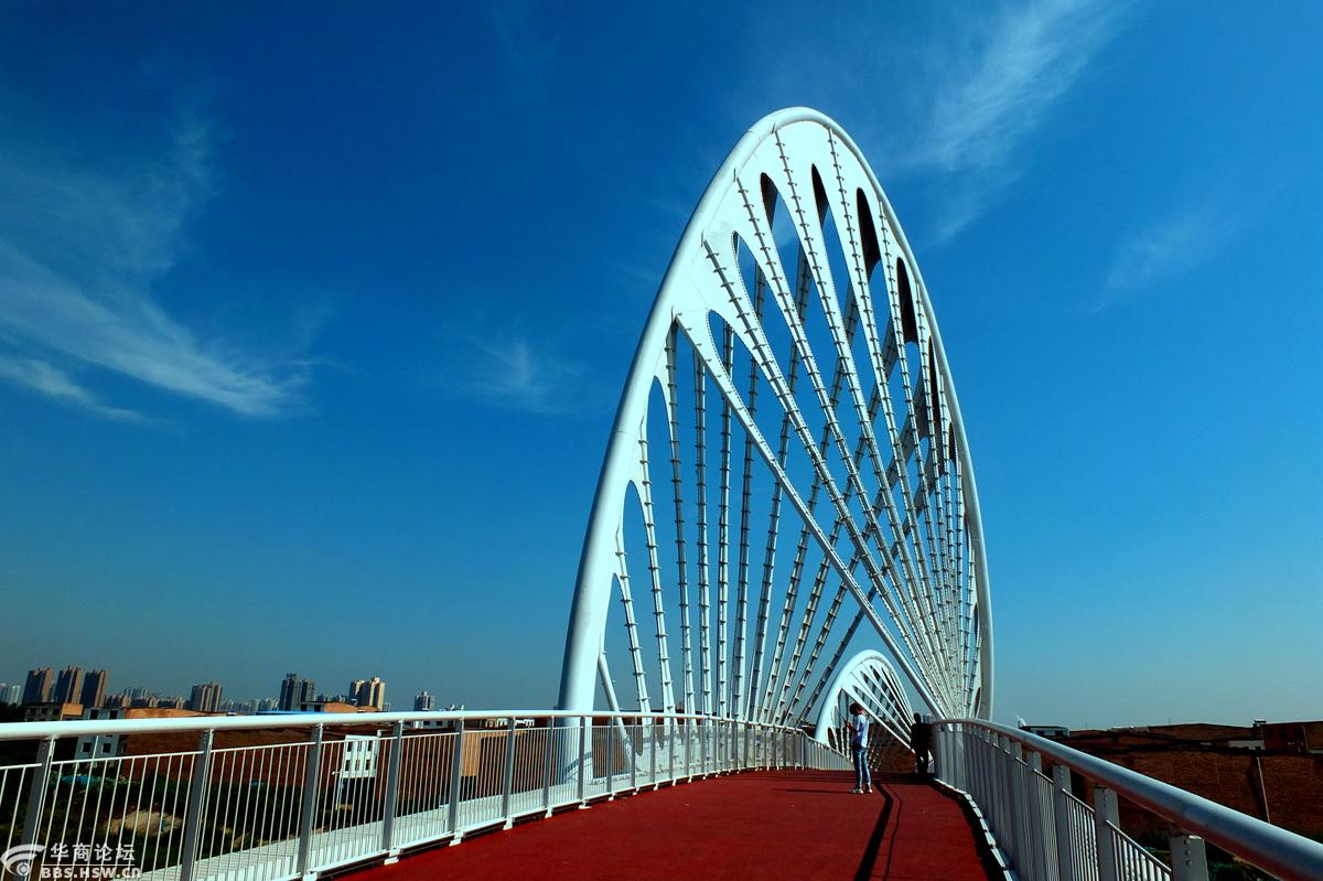 暑天水边游,美哉沣河湾!