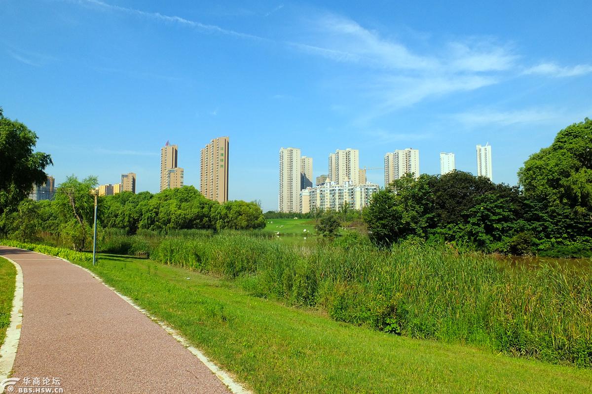 暑天水边游美哉沣河湾