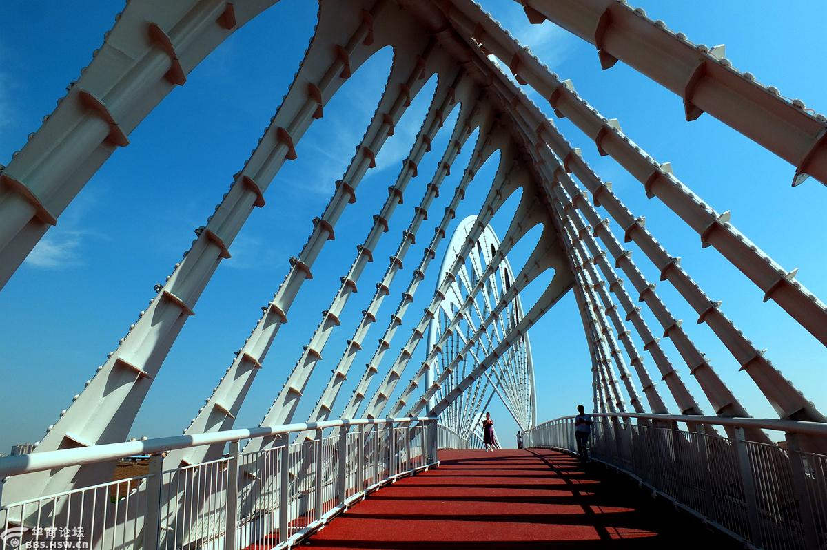 暑天水边游,美哉沣河湾!