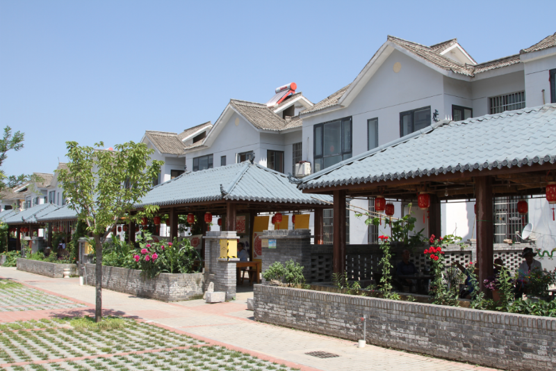图片3