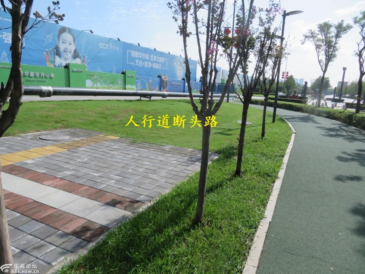 镐京大道上自行车道断头路太多了