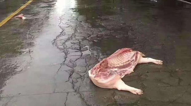 华商头条|马路上掉了一扇猪肉--太不操心了，好贵啊！