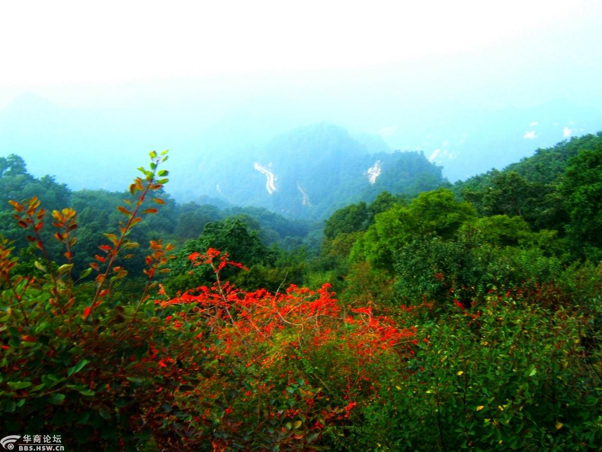 南五台谒三教西岔沟忆初游