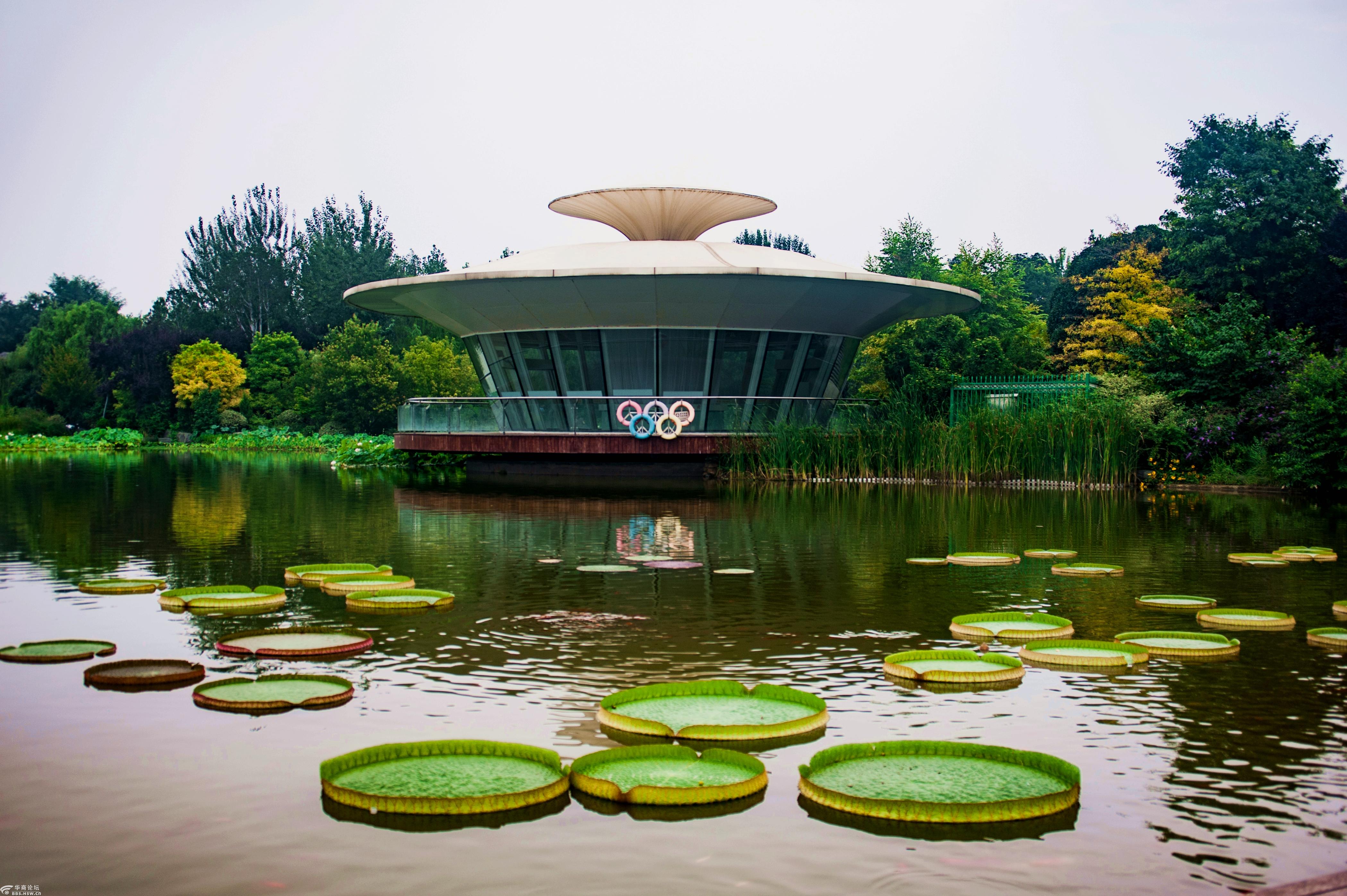 西安植物园风光.