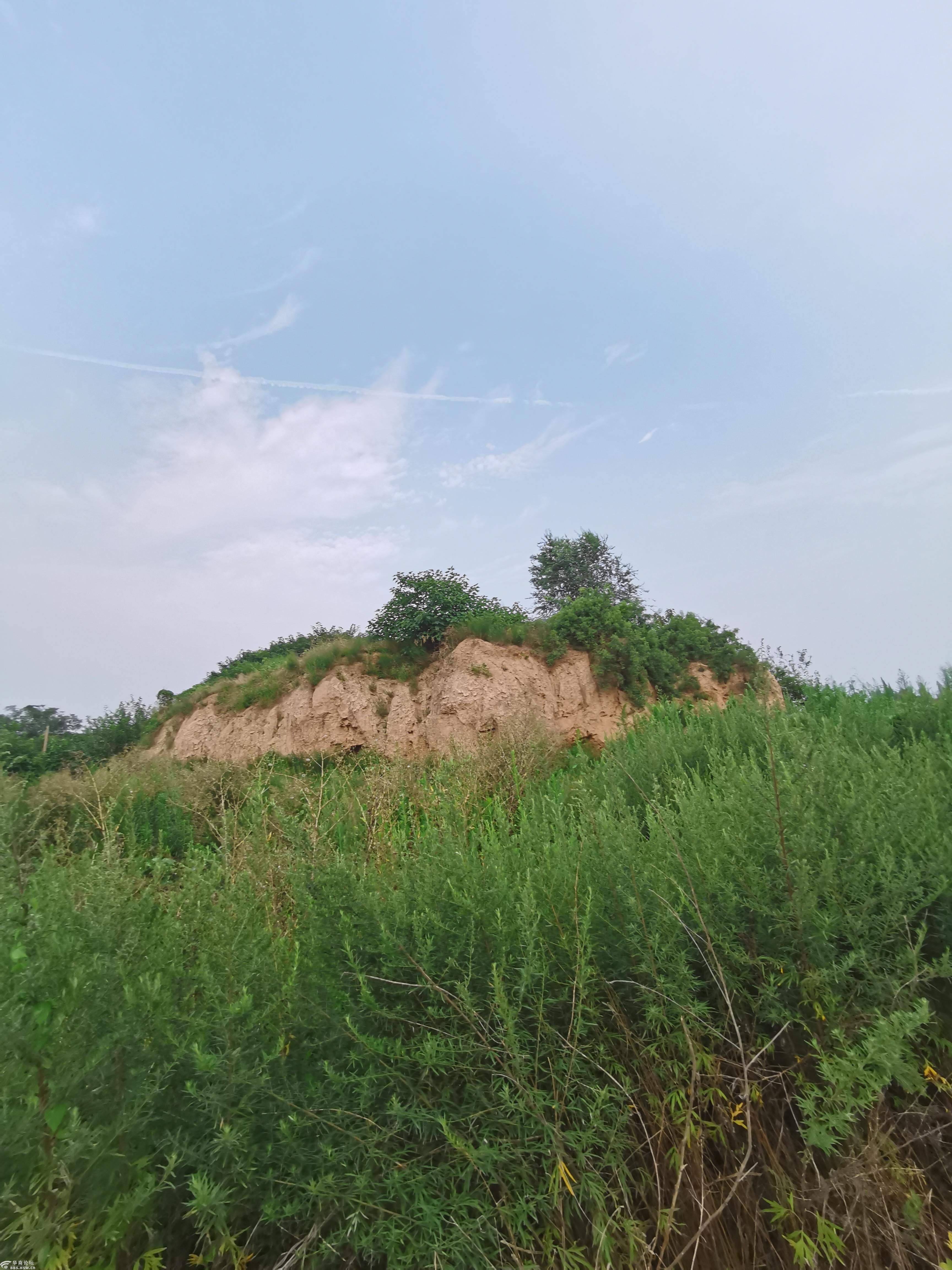 三秦之雍王都城废丘遗址