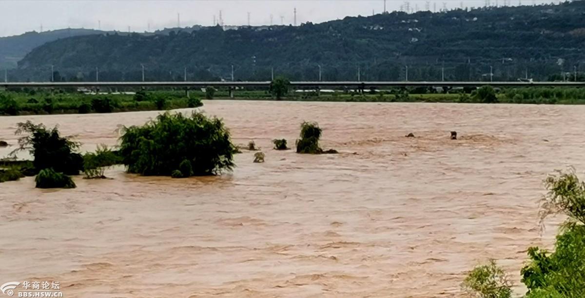 2003年洪水图片