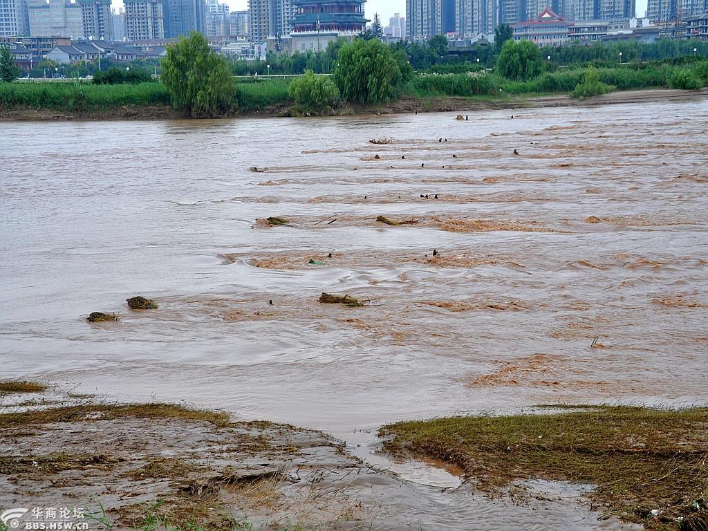 行摄于咸阳渭河南岸掠影