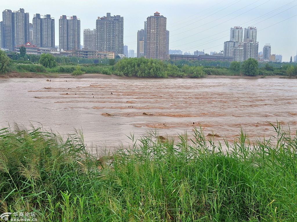 行摄于咸阳渭河南岸掠影