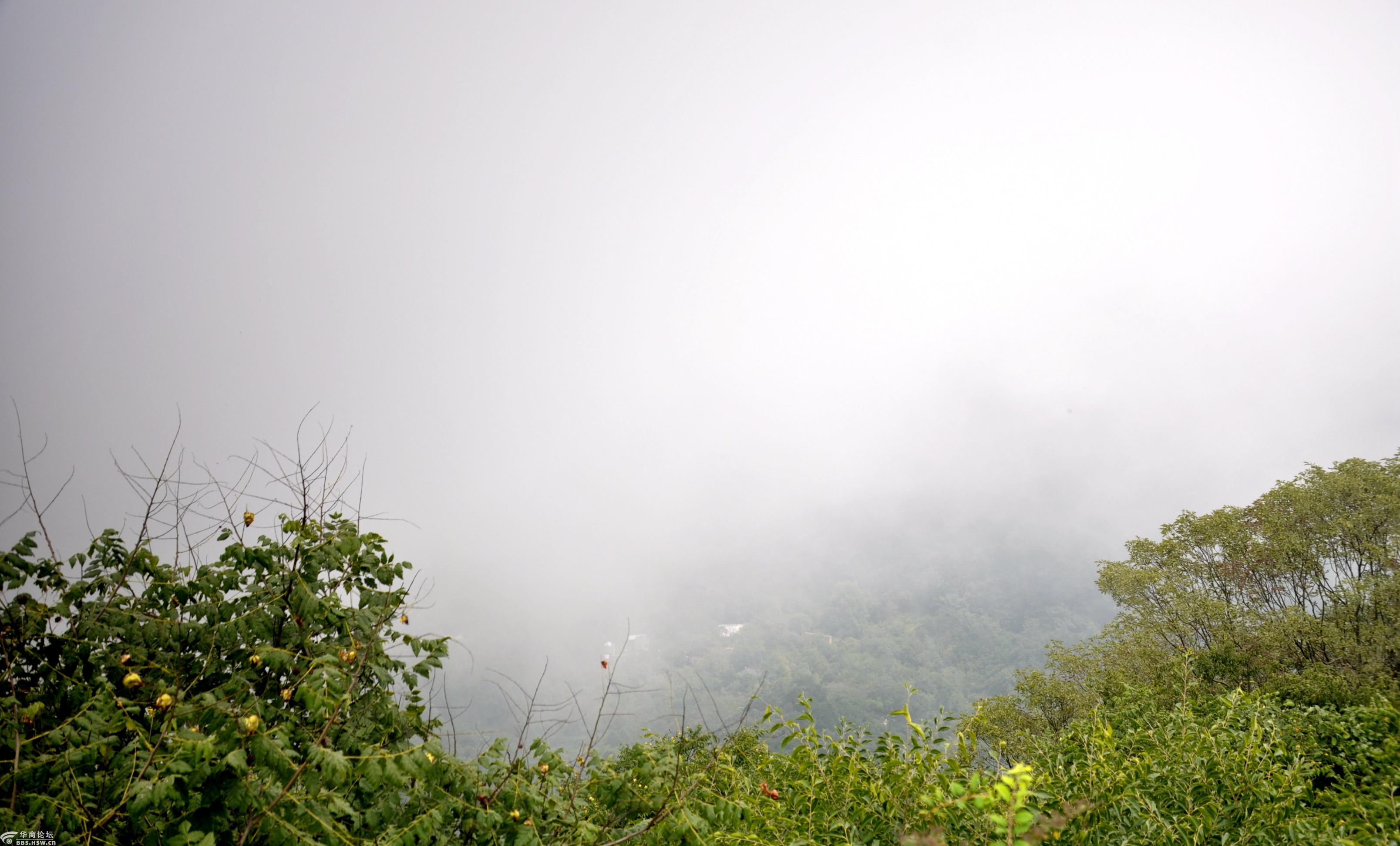 南五台巅云上仙,财大泳池蛟龙见!