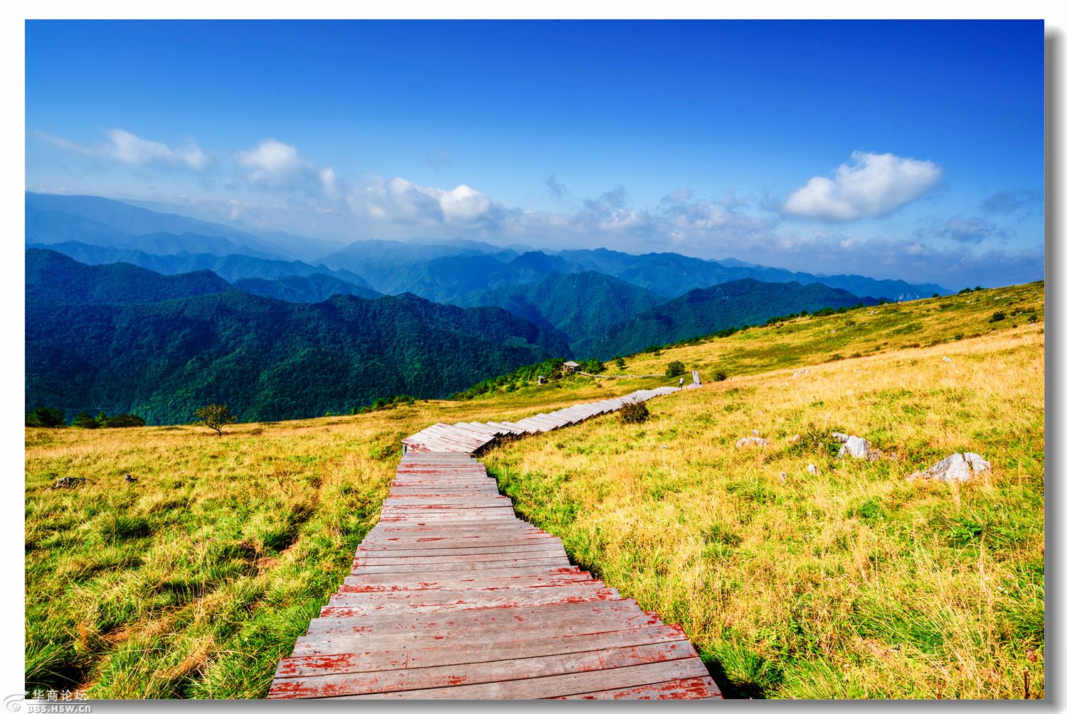 "亚洲第一天坦群落"——留坝紫柏山森林公园