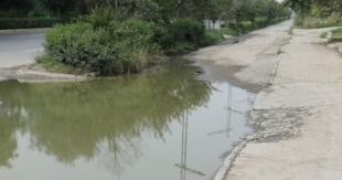 兴平兴咸路乱象丛生：雨水口无井蓖 人行道上野草遍地