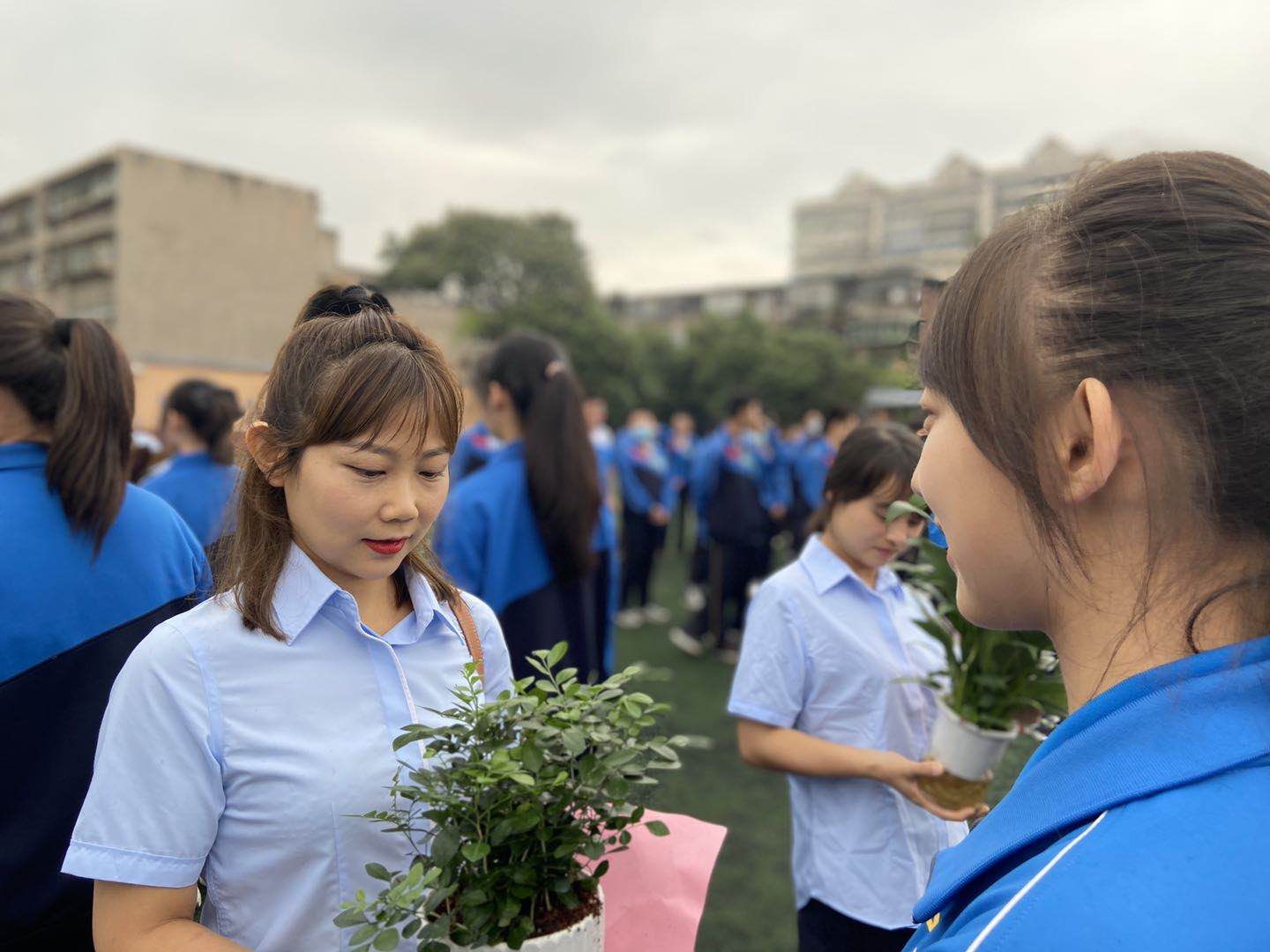 向敬爱的老师敬献贺卡、绿植.jpg