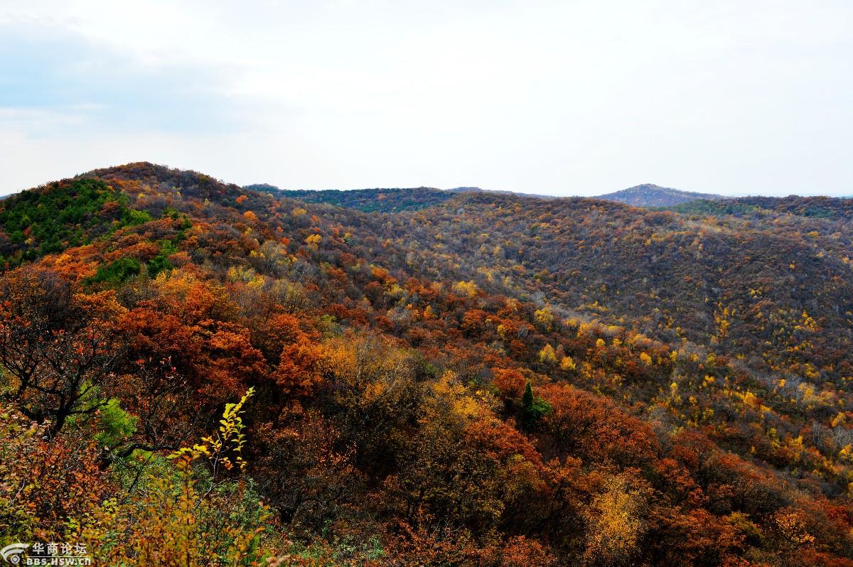 巍巍子午岭悠悠秦直道