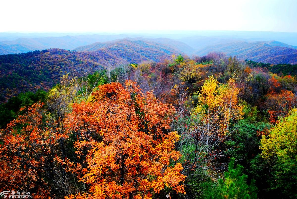 巍巍子午岭悠悠秦直道