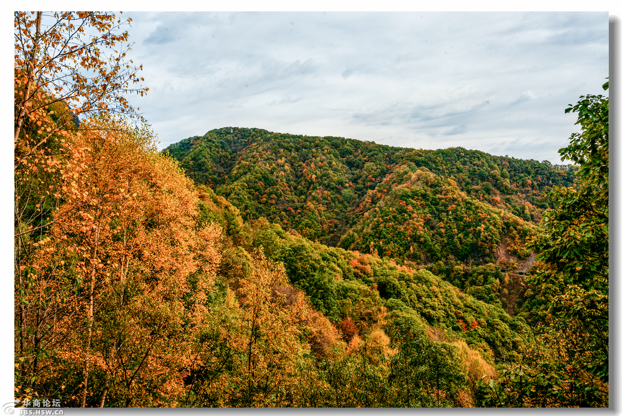 大美秦岭深秋季的分水岭黄花岭如诗如画美的醉人
