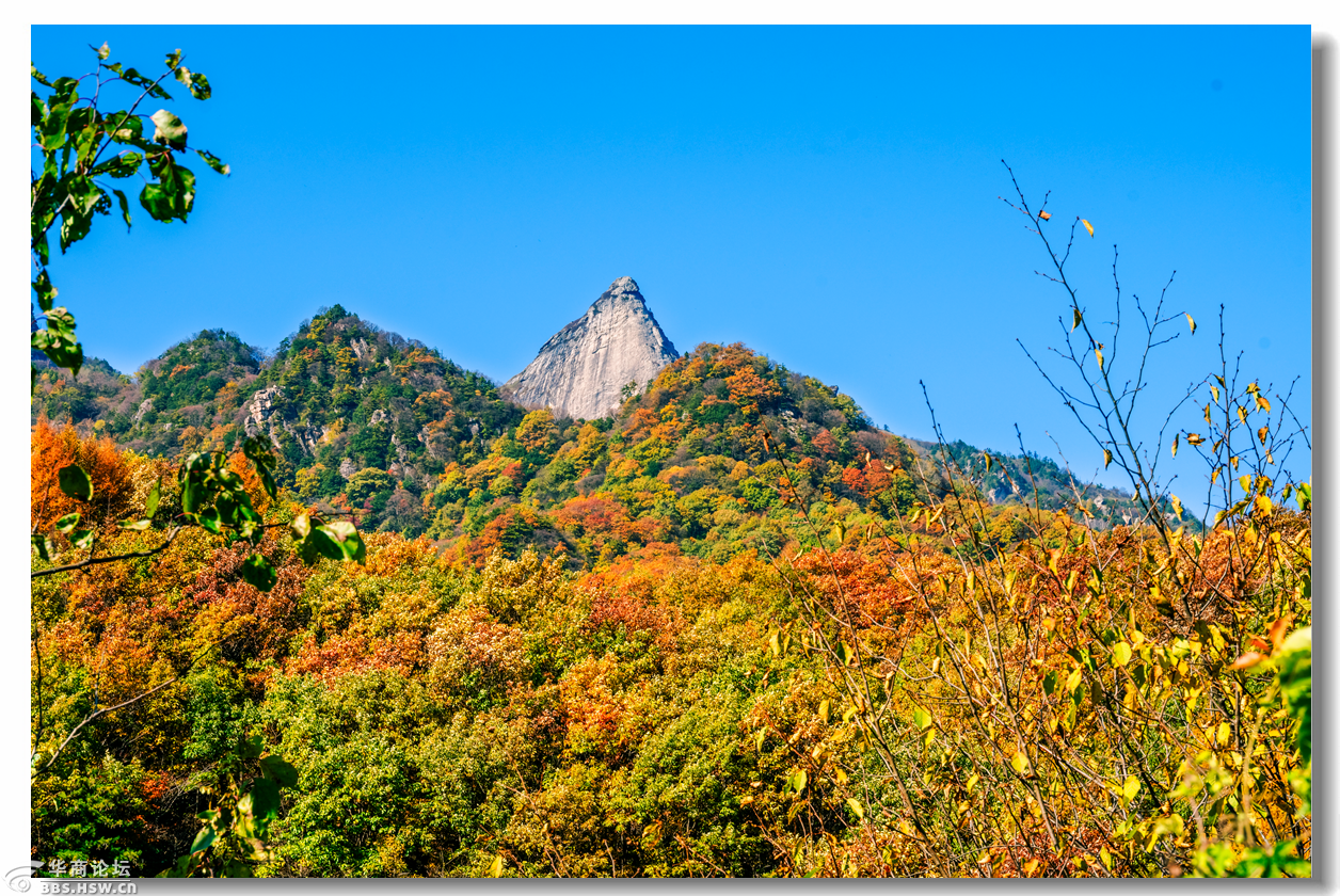 【大美秦岭】深秋季的分水岭,黄花岭,如诗如画,美的醉人-西安论坛