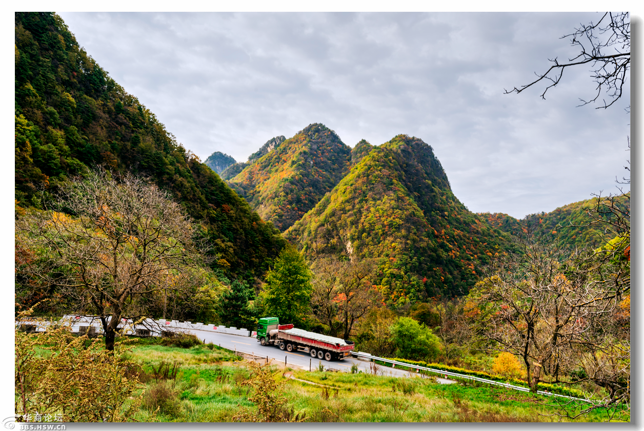 【大美秦岭】深秋季的分水岭,黄花岭,如诗如画,美的醉人-西安论坛