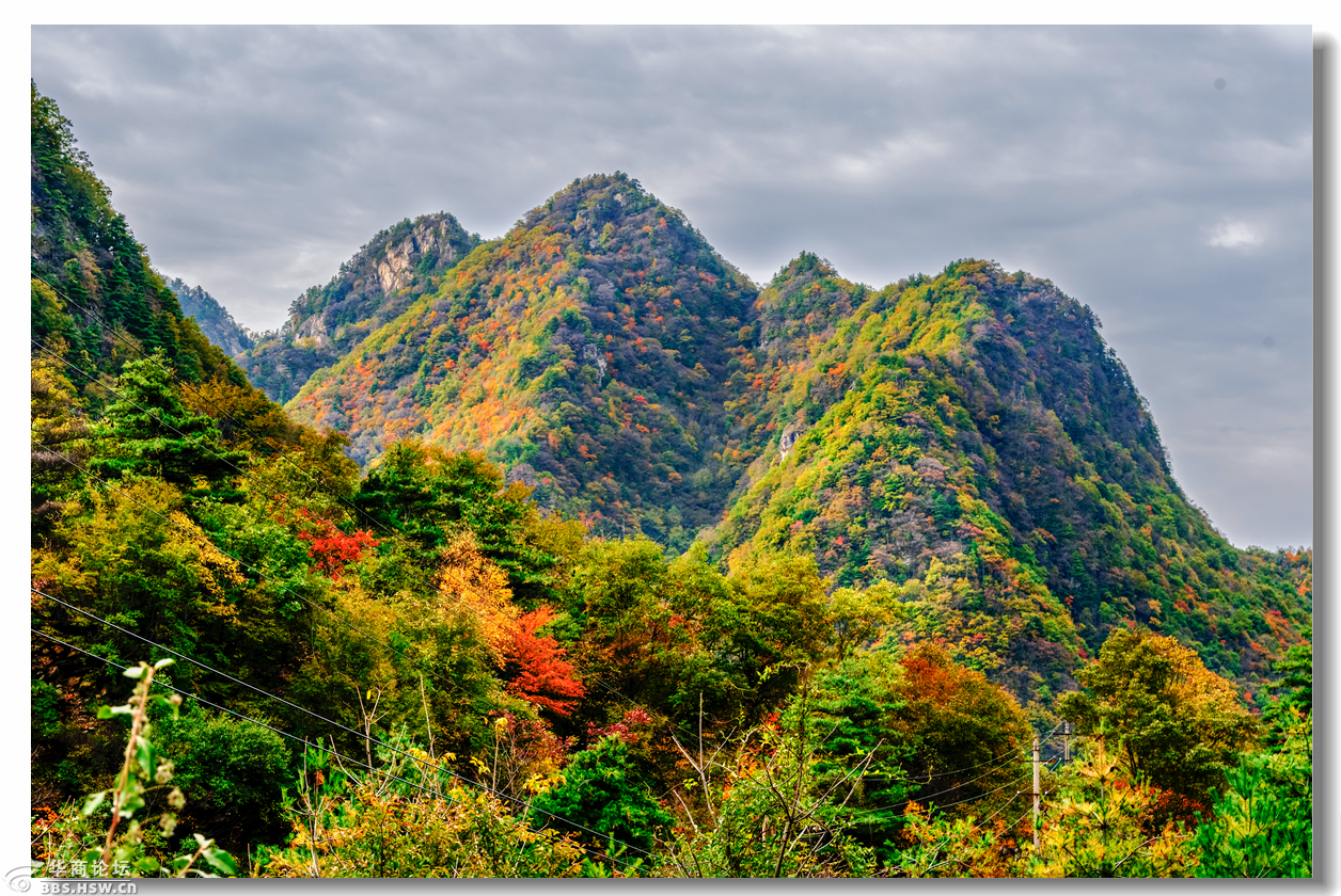 【大美秦岭】深秋季的分水岭,黄花岭,如诗如画,美的醉人-西安论坛