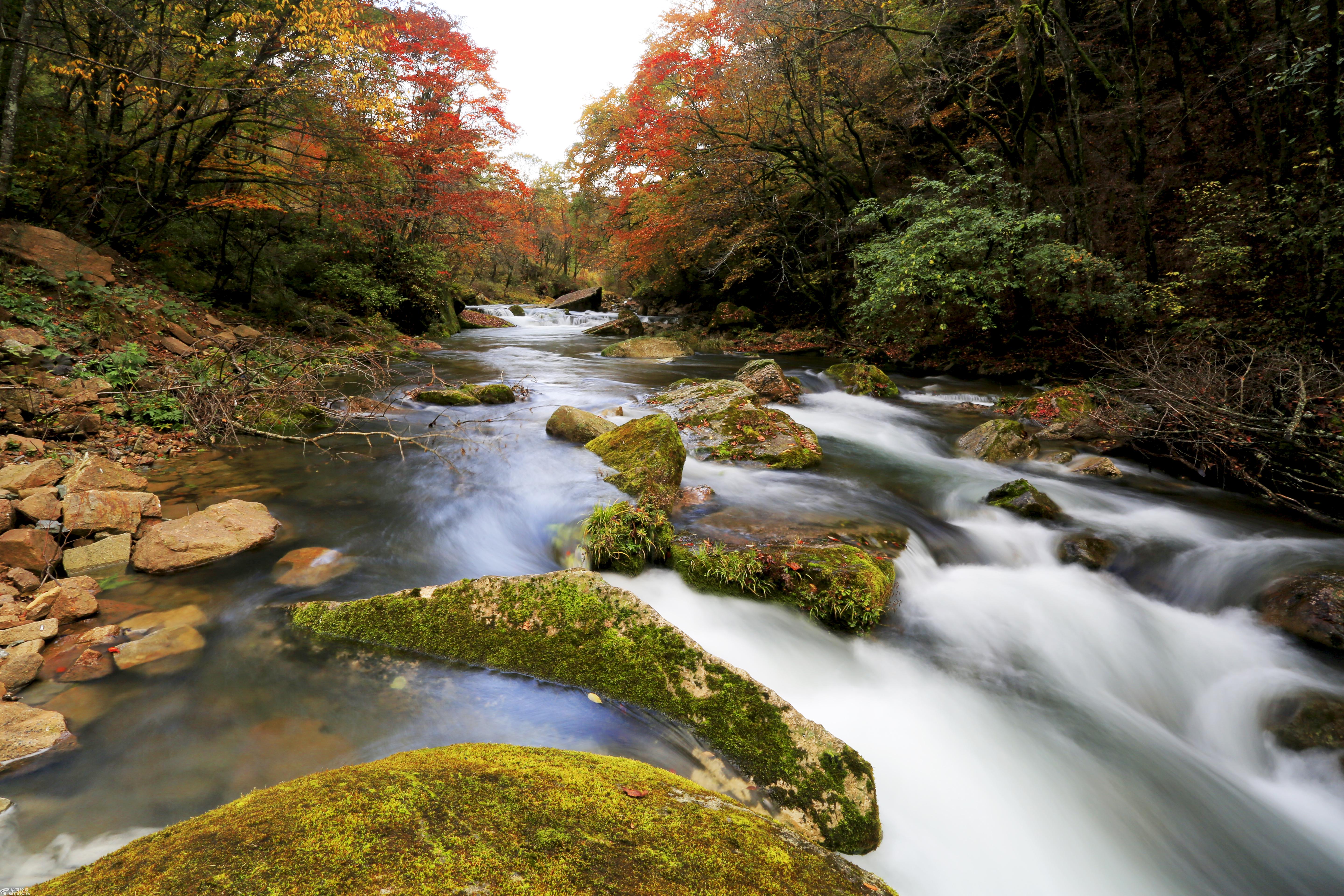 原创汉中黎坪景区红叶