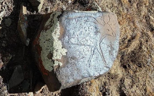 青海发现海拔5000米上古岩画