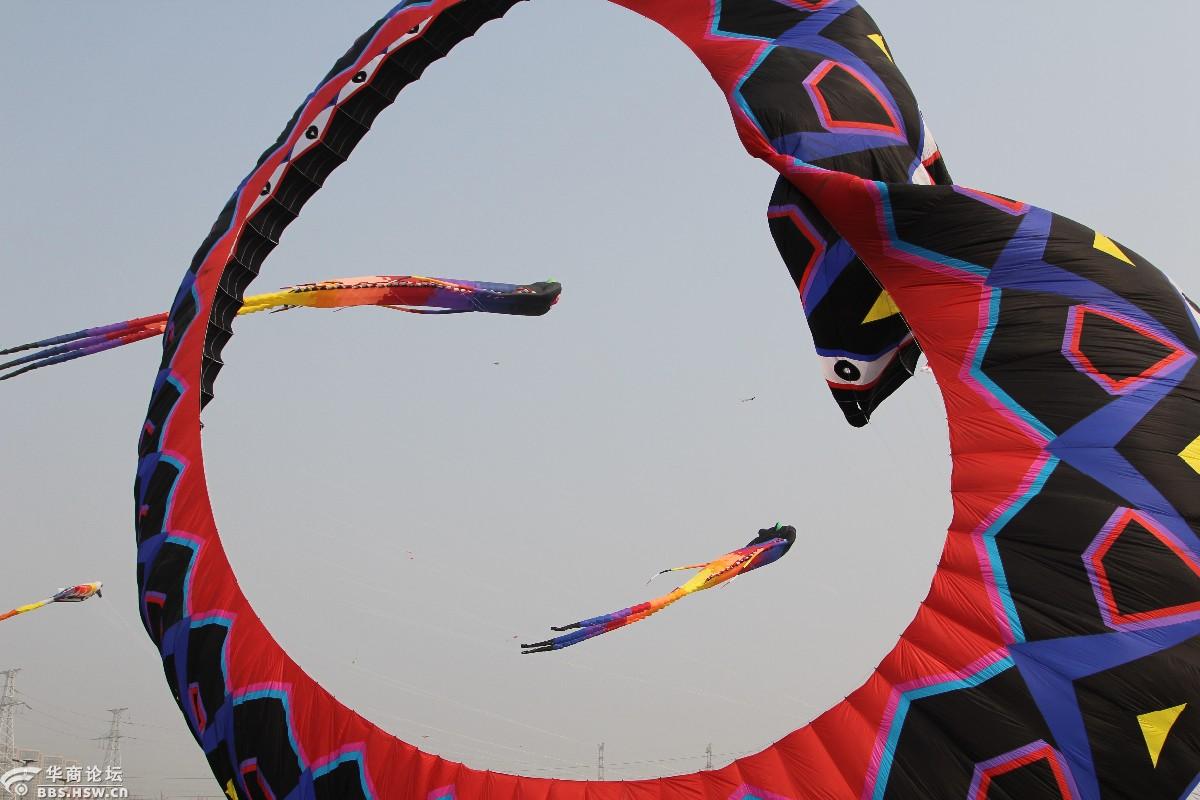 第三届咸阳国际风筝节随拍(1)霸气的滚地龙