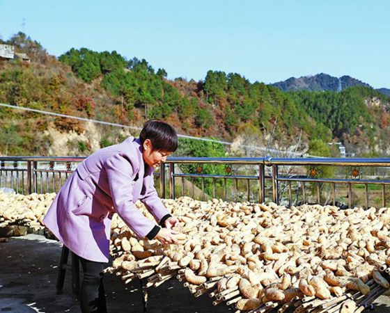 华商头条|昔日贫困户 今日新典型