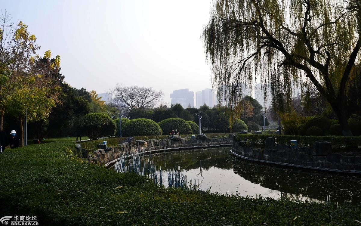 初冬新纪元公园随拍-西安论坛-华商论坛