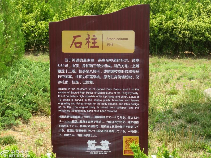 蒲城五陵之最桥陵