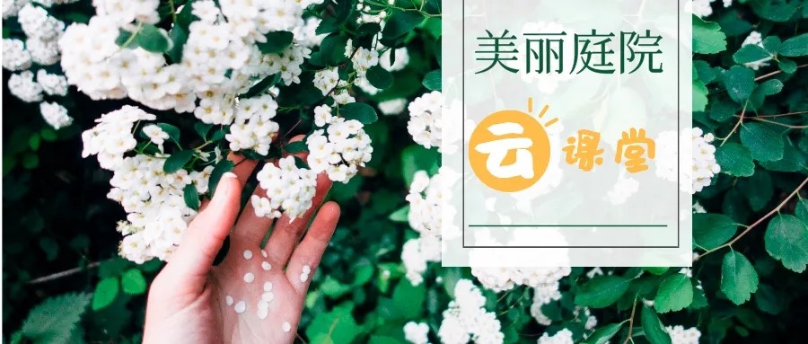 妇联美丽庭院.jpg