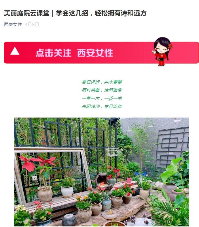 妇联美丽庭院1.jpg