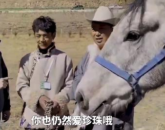 华商头条|丁真得到一匹名叫“青龙”的赛马 他说仍然会好好爱“珍珠”