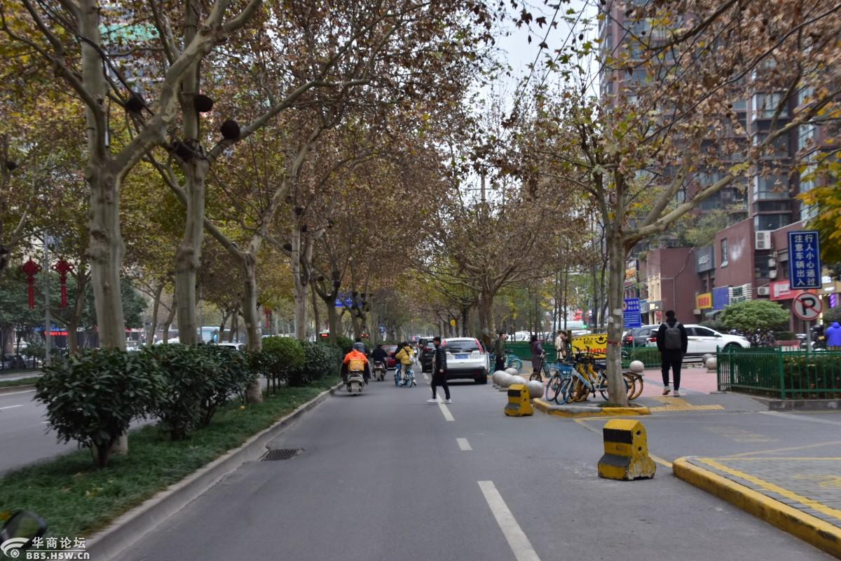 丈八北路冬景-西安论坛-华商论坛