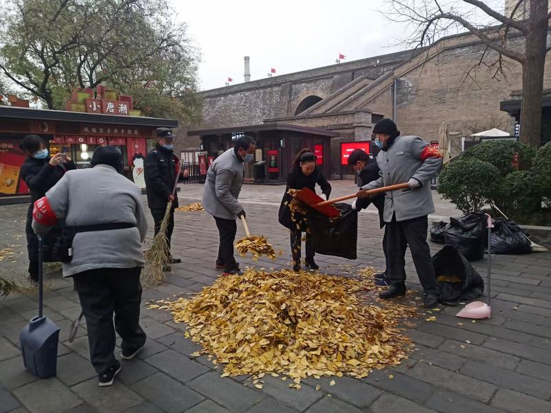 明年再见 历时34天后西安城墙中山门网红银杏叶景观撤场