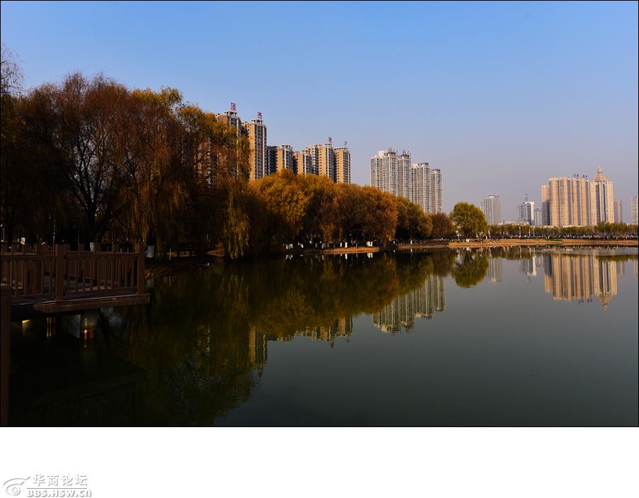 咸阳滨河湿地公园图片