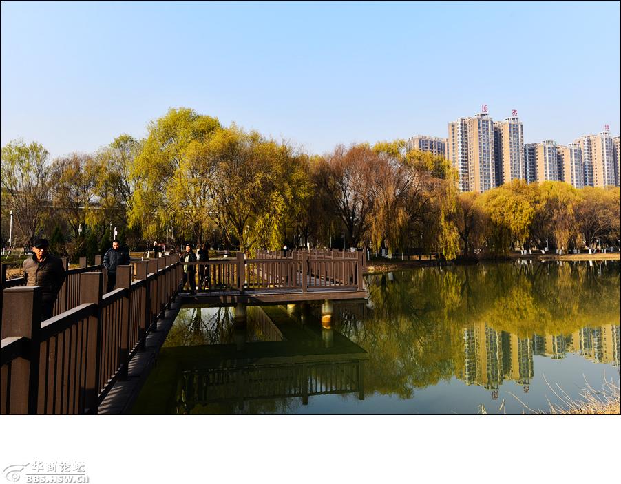 咸阳河堤路湿地公园图片