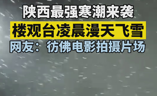 视频|西安楼观台凌晨漫天飞雪 网友：仿佛电影拍摄片场
