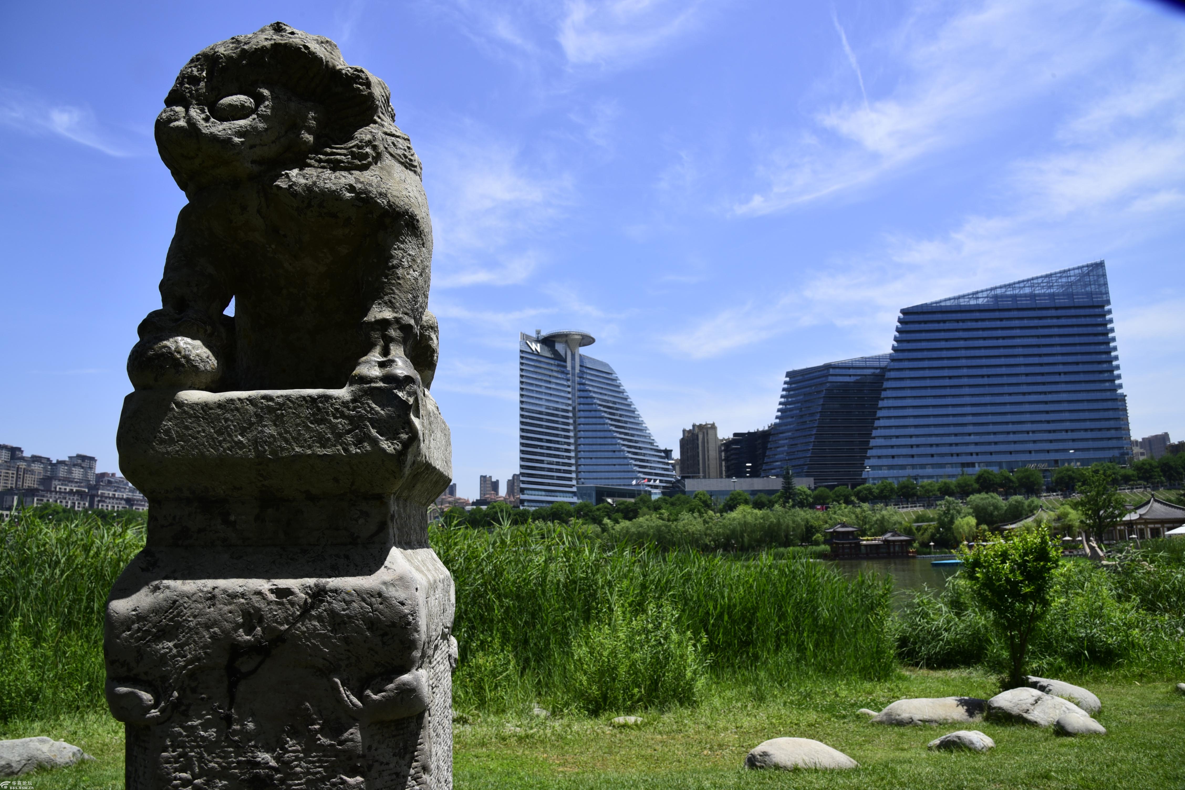 发现西安之美|历史之美:曲江遗址换新颜