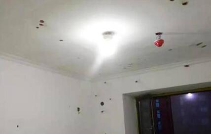 陆港滨海湾小区装修后白墙上不断出现“锈点” 业主质疑房屋质量