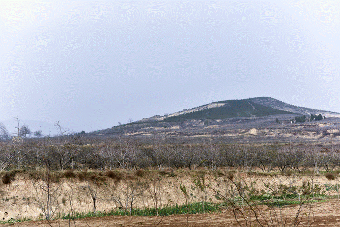 image002.gif