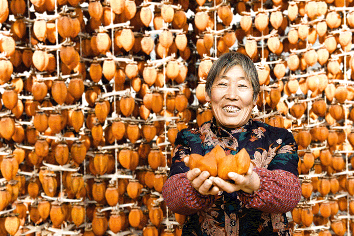 image006.gif