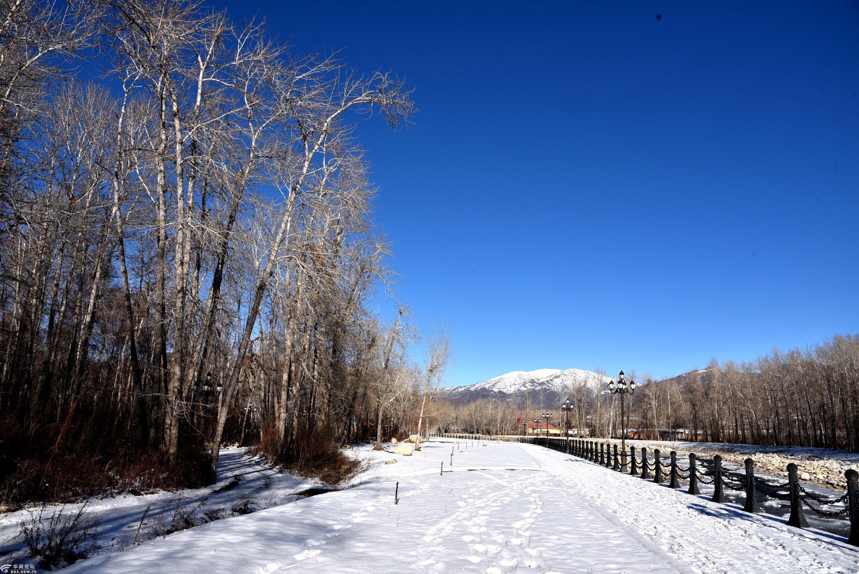 桦林公园阿勒泰,冰雪世界龙嗨哉!