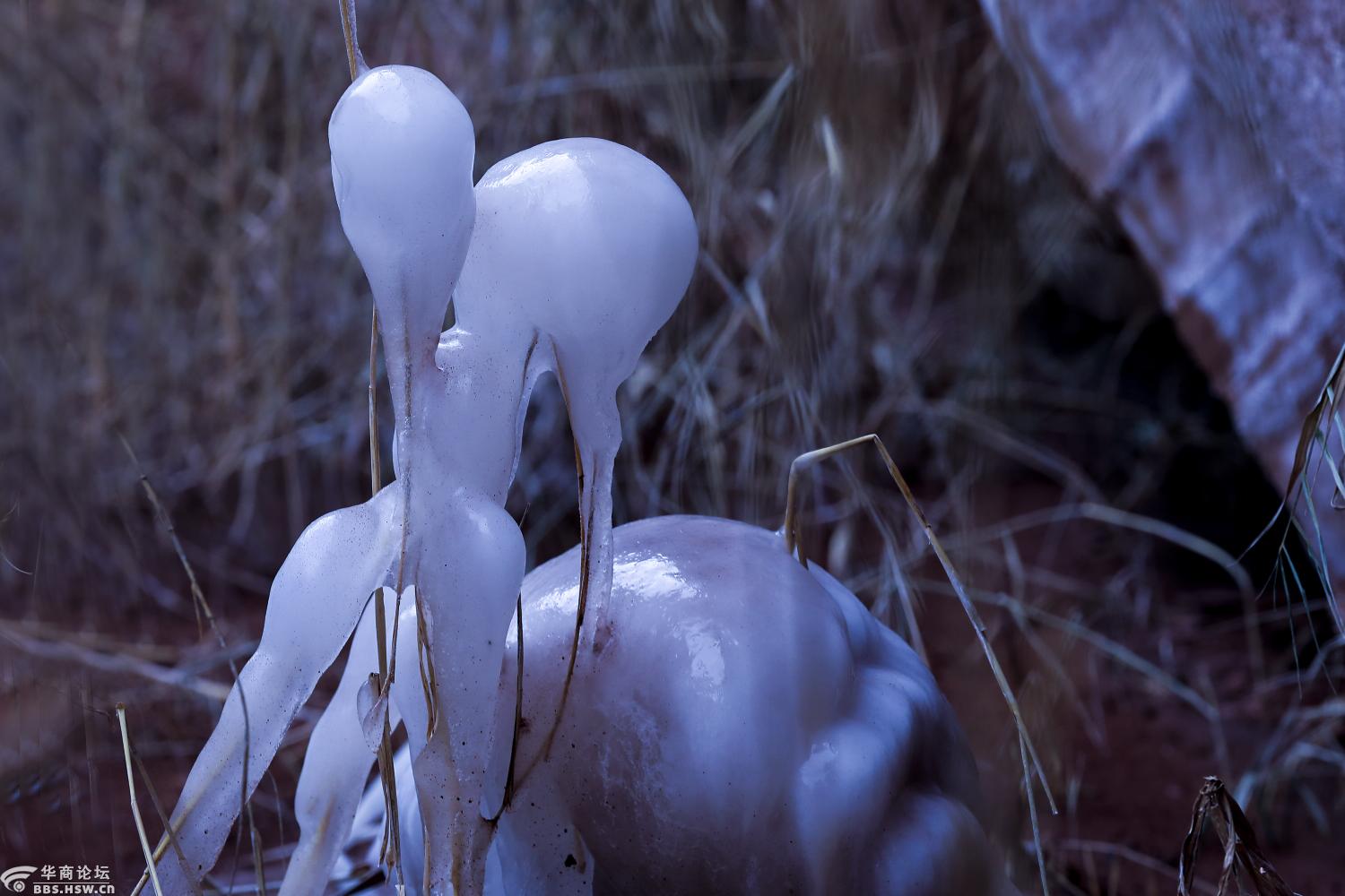 天寒地冻中的冰趣