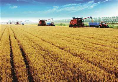 华商头条|西安2020年粮食总产量144.58万吨 创2014年以来新高