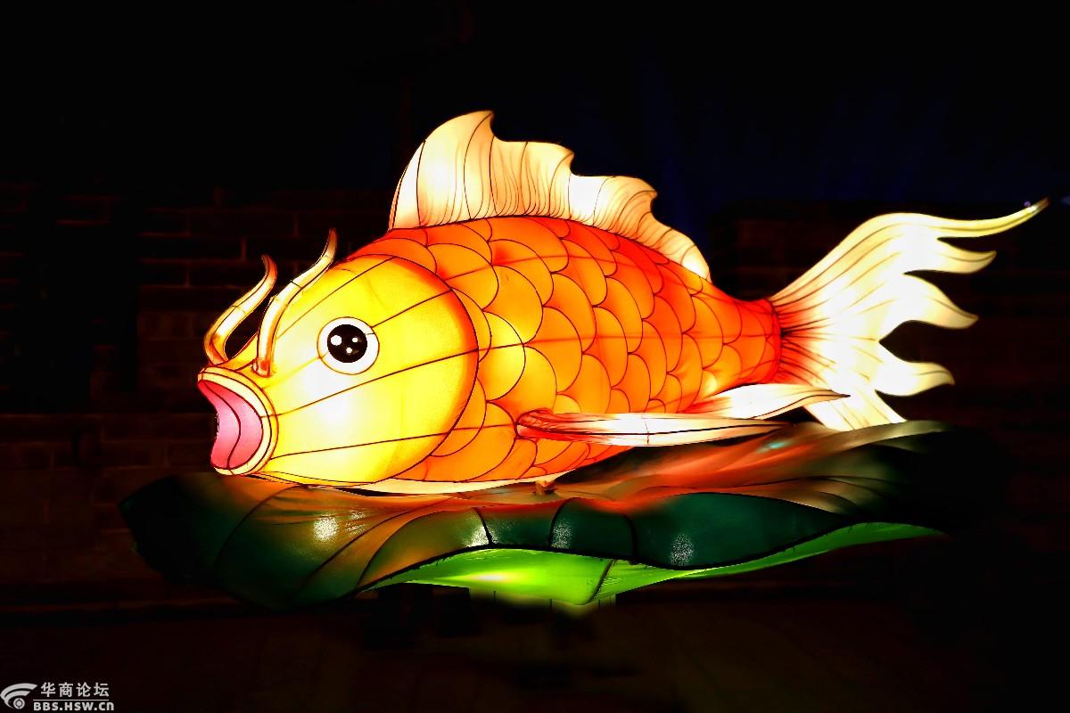 参观牛年花灯展,感悟浓浓过年味:西安南门城墙景区灯展印象