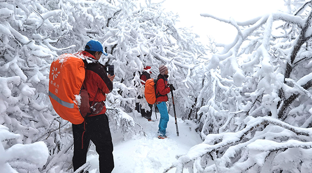 华商头条|秦王山寻雪记：一场春雪把秦岭变成冰雪世界