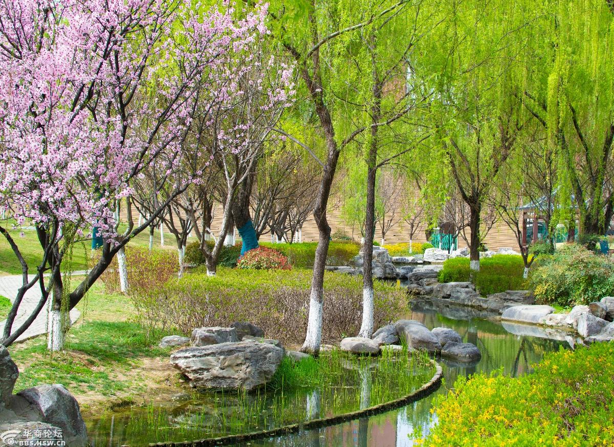 春满长安我眼中的春天大明宫遗址公园春光烂漫