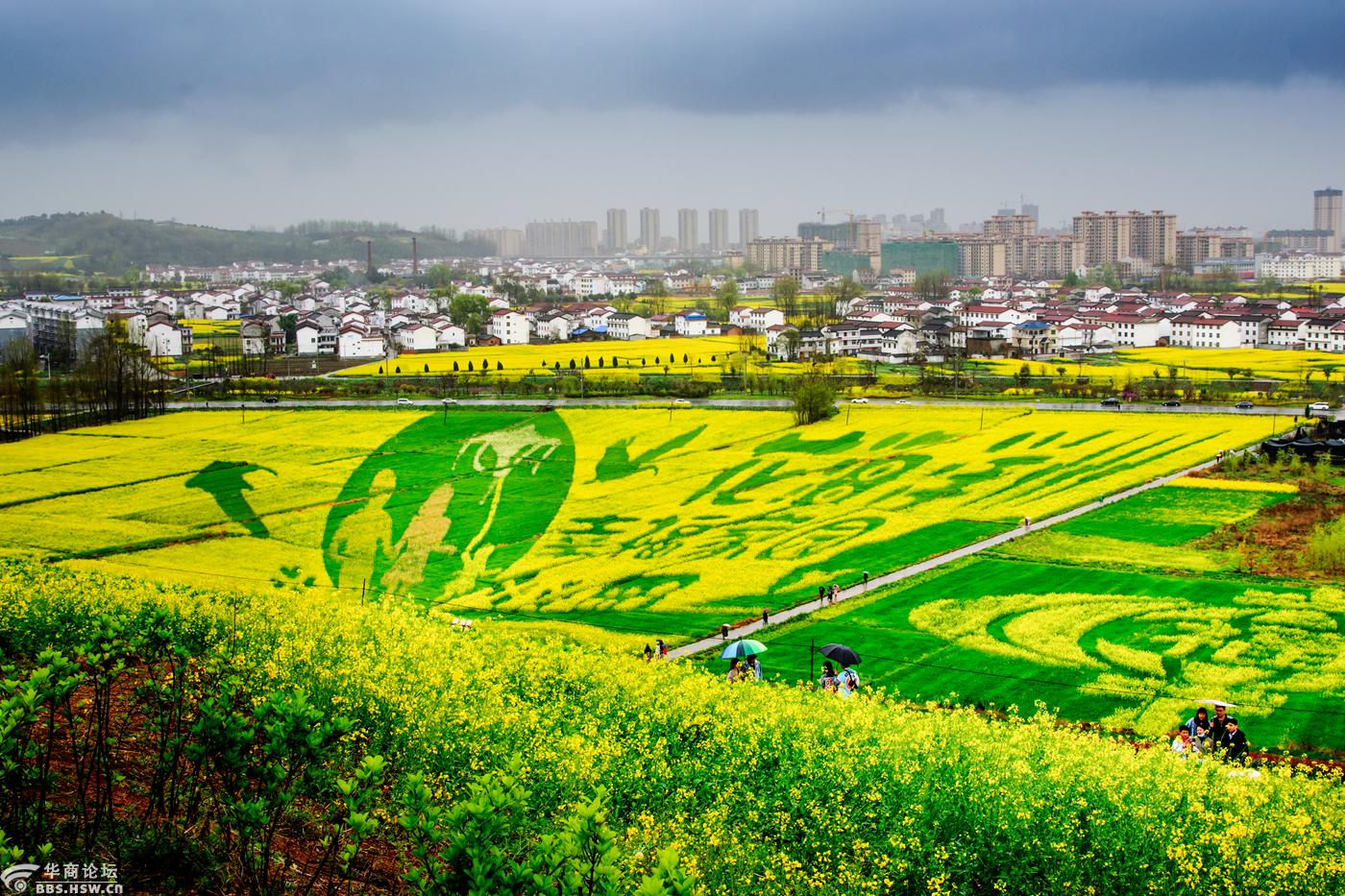 2021中国最美油菜花海汉中旅游文化节洋县南郑县分会场随拍