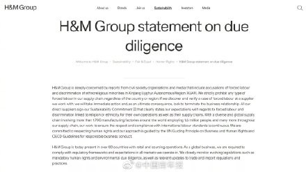 hm抵制新疆棉花被批去年在中国卖了74亿你还买吗