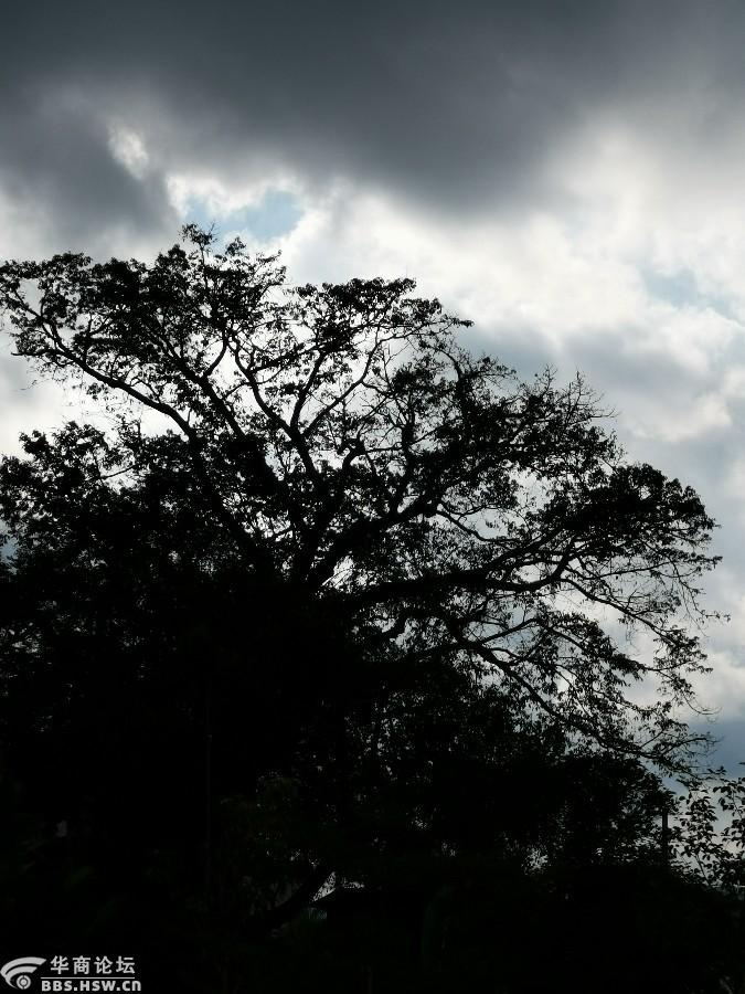 五指山牙胡梯田