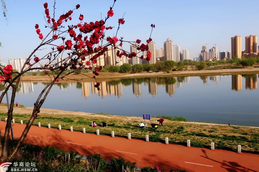 三月的咸阳渭河公园